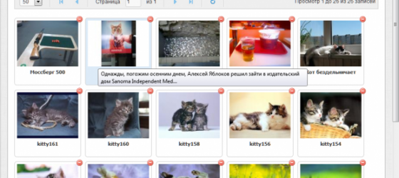 Установка и настройка SimpleGallery для MODx EVO